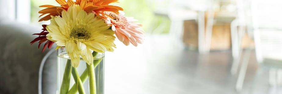 Hospice image