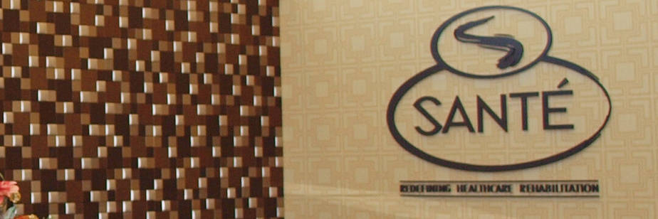 About Sante Image