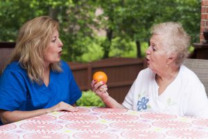 what is a skilled nursing facility